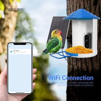 Kuş Besleyici Kamera AI Türleri Tanımlayın Dahili Pil Otomatik Yakalama Kuş Video Bildir AI-WiFi ile Akıllı Kuş Besleyici Kamera